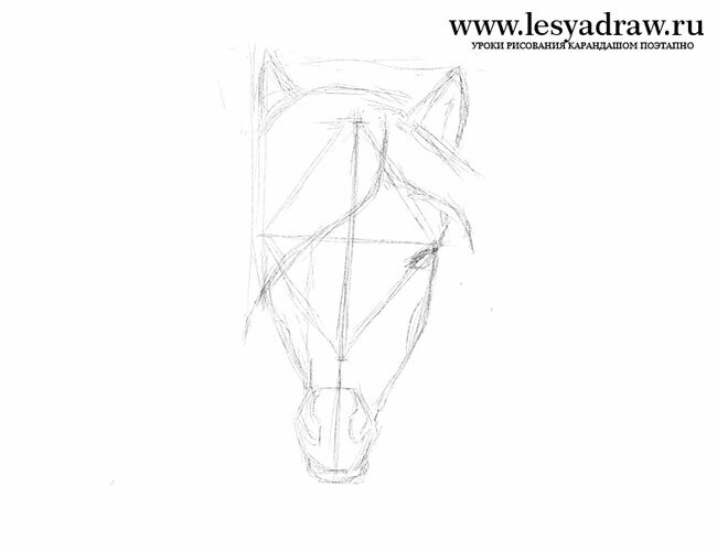 How to Draw a Horse step by step ✓