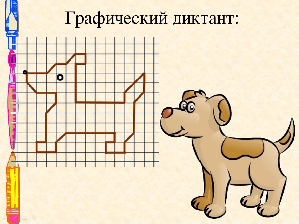 Шпиц рисунок по клеточкам | Как нарисовать собаку шпица по