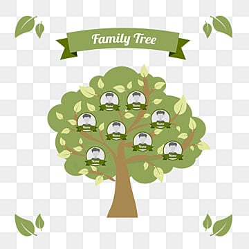 Tree illustration with cartoon style