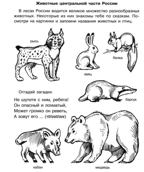 Красная книга россии животные и растения рисунки 