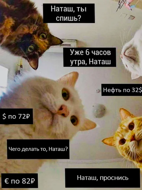 Наташ | Пикабу