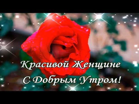 Картинки 