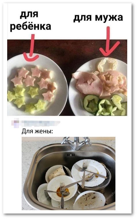 Подпишись, тут весело😉 | 🤣🤣🤣 #мем #голод #кот #котики