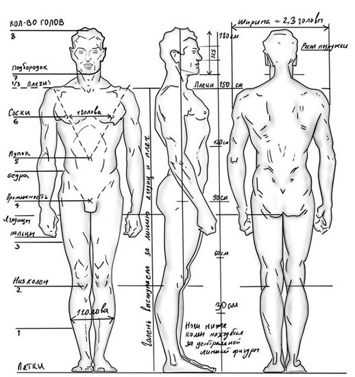 Как Рисовать Мужское Тело