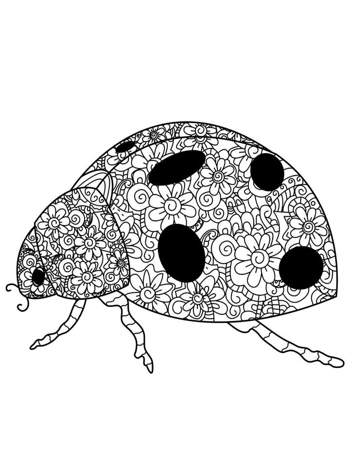 Трафарет божьей коровки для детей 