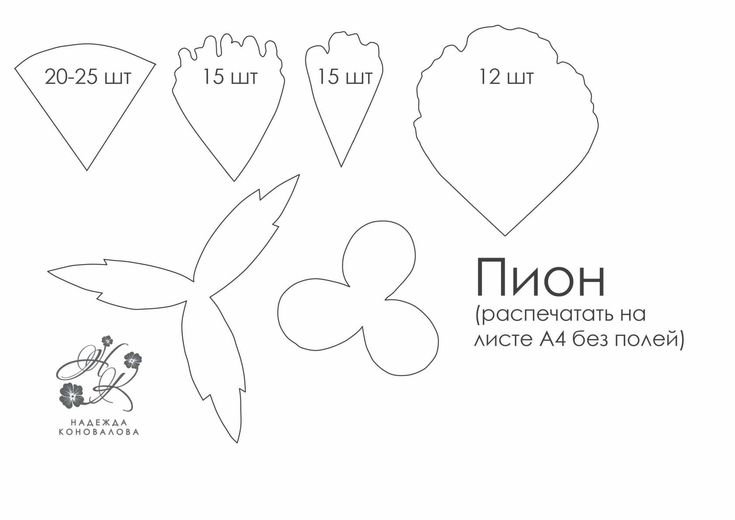 Трафареты ромашка двенадцать лепестков