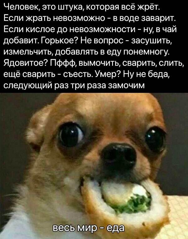 Мемы :: Пицца :: еда