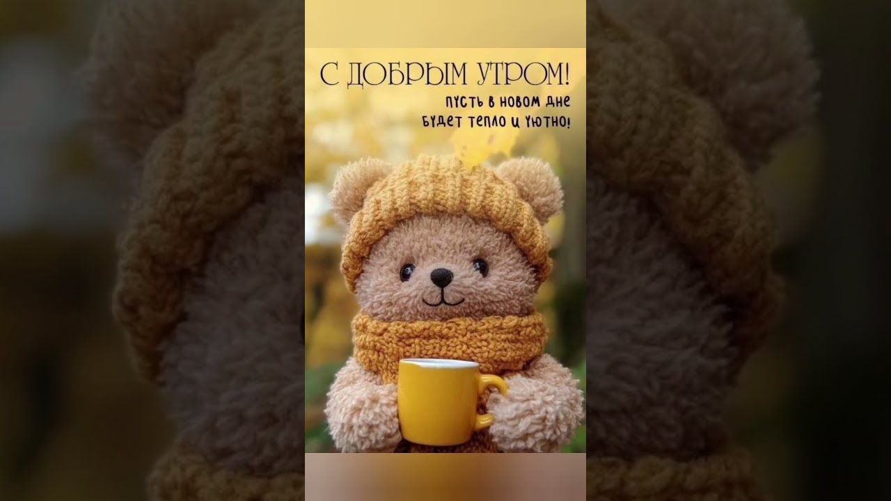 Доброе Утро Мишка | TikTok