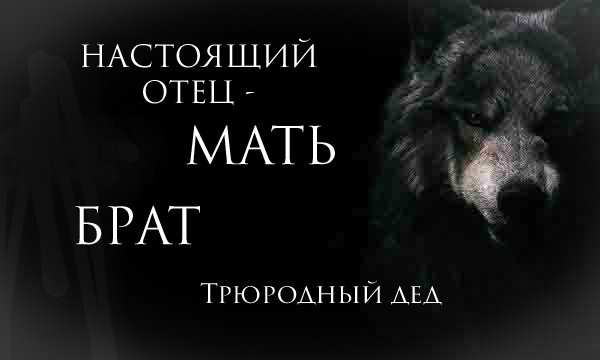 🐺 Нейронный волк | Ауф мемы 🔞 | Не могу разобрать что