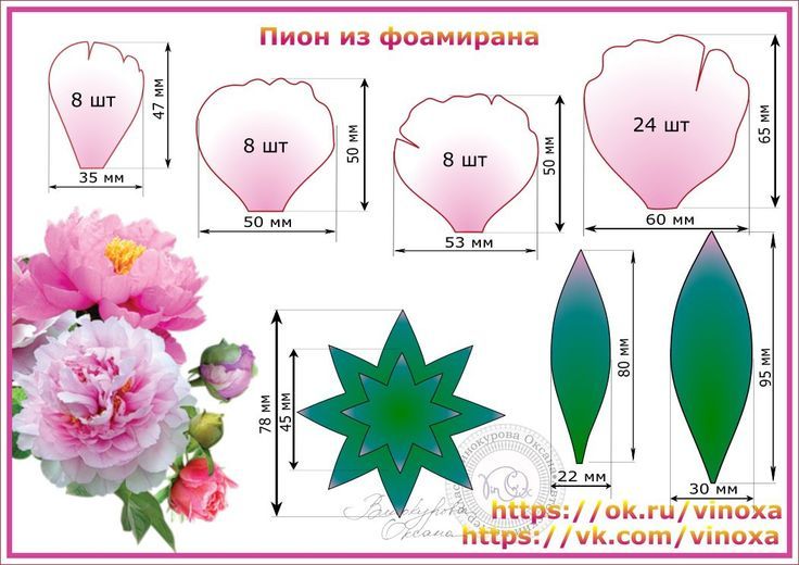 Розы из фоамирана шаблоны: выкройку распечатать, лепестка