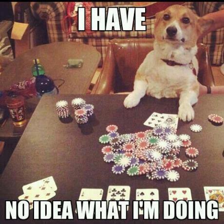 The best Poker memes :) Memedroid