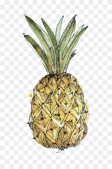 How to draw a pineapple. Simple drawing for kids. Как