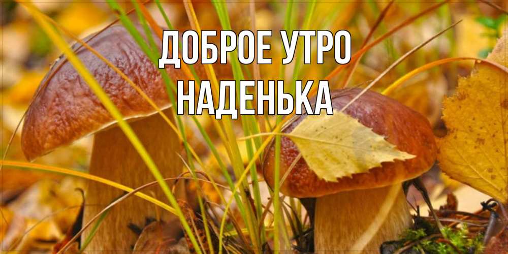 МГНОВЕНИЯ ЖИЗНИ! | Доброе утро | Facebook