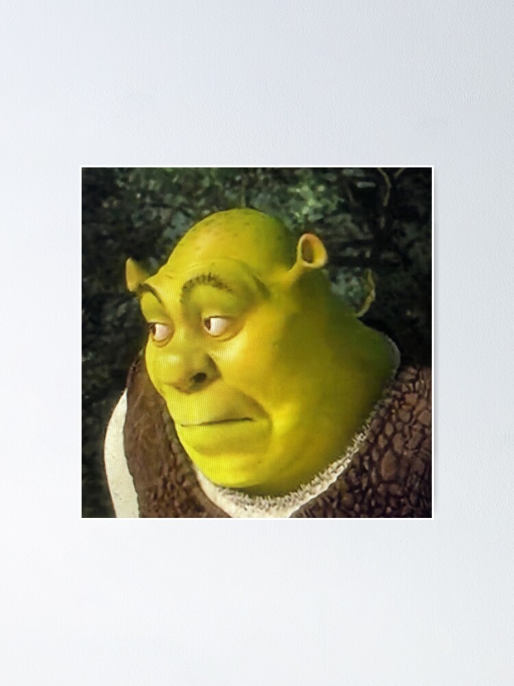 Shrek Meme Image, Reaction, Expression PNG Image