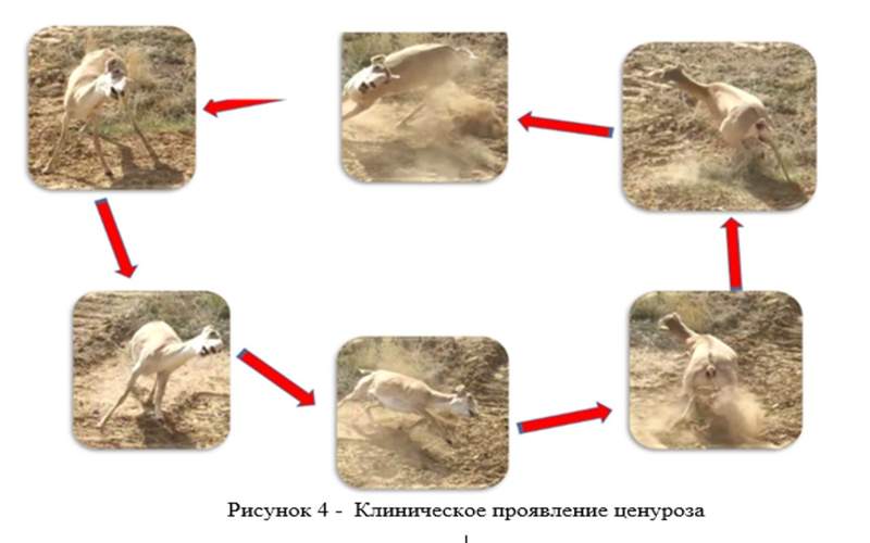 Знаменательные и памятные даты Таврического района