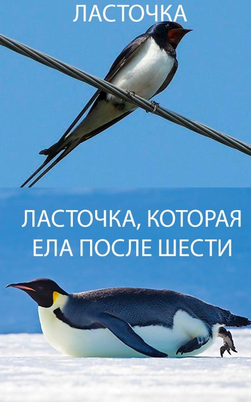 Создать мем «мем с пингвином, пингвин ковальски» онлайн