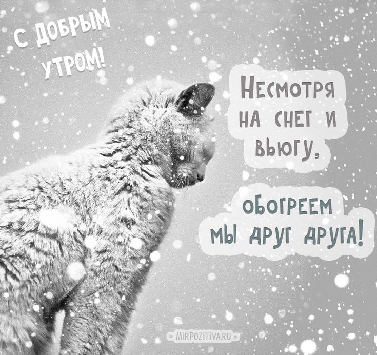 ❄️⛄😍 Картинки с добрым зимним утром