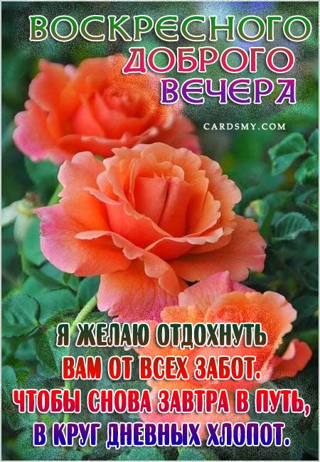 Спокойной Ночи Весенние Природа | TikTok