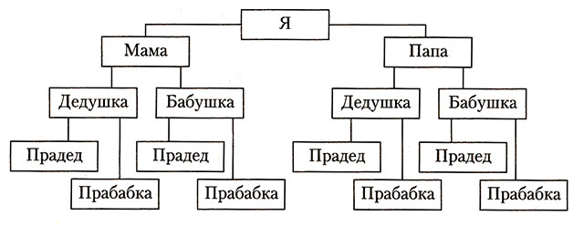 Шаблоны Дерево родословной для английского