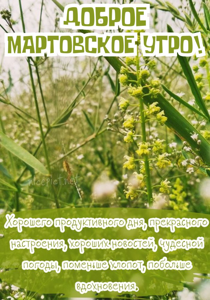 Доброе Утро ! Весеннего Настроения в это Мартовское