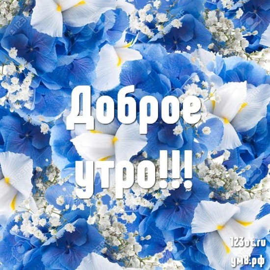 Доброе утро, доченька! ❤️ | TikTok