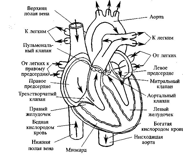 Pin page