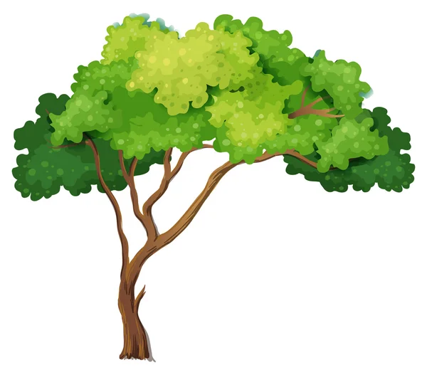 Simple Tree Stock Illustrations – 254