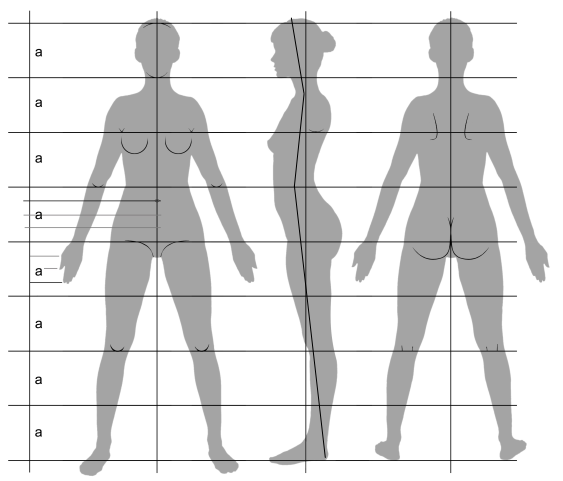 Пропорции женского тела для рисования в стиле аниме. | Учимся