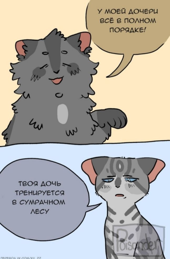 Приколы про котов воителей | Fandom