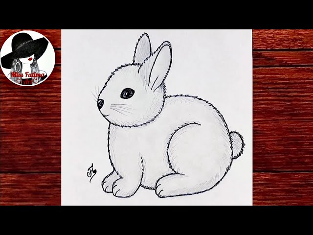 Rabbit, Рисунок