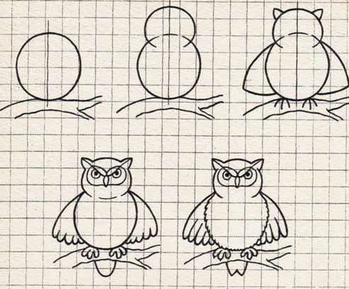 to draw an Owl