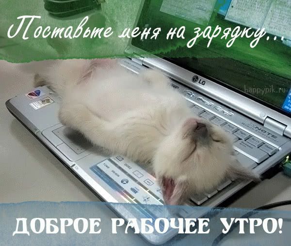 ☀️С добрым утром, малыши! Домашние