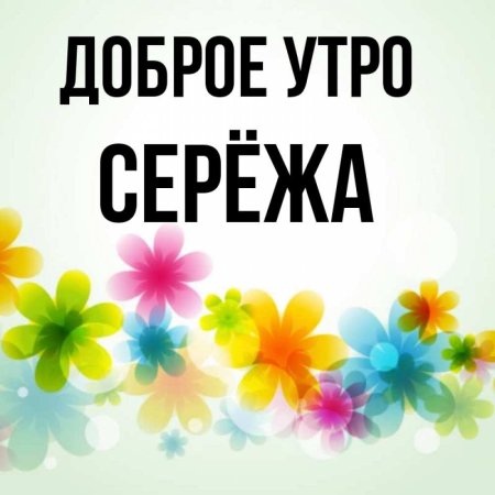 BipBap.ru