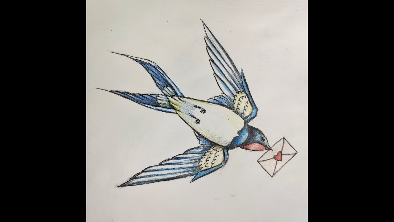 to draw Barn Swallow