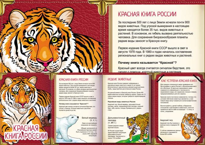 Животные красной книги республики беларусь для детей картинки