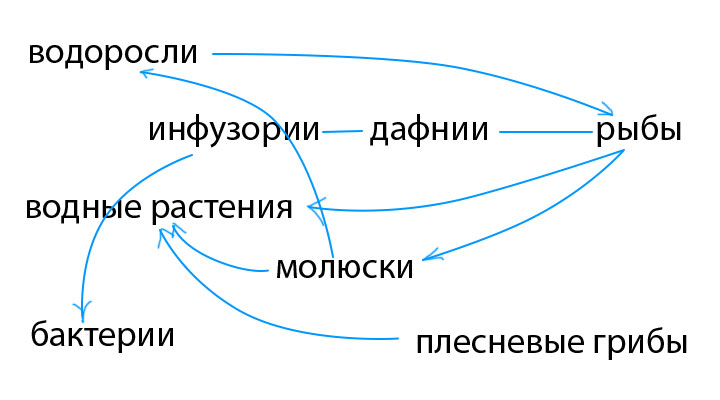 помогите пожалуйста!! биология 7 класс