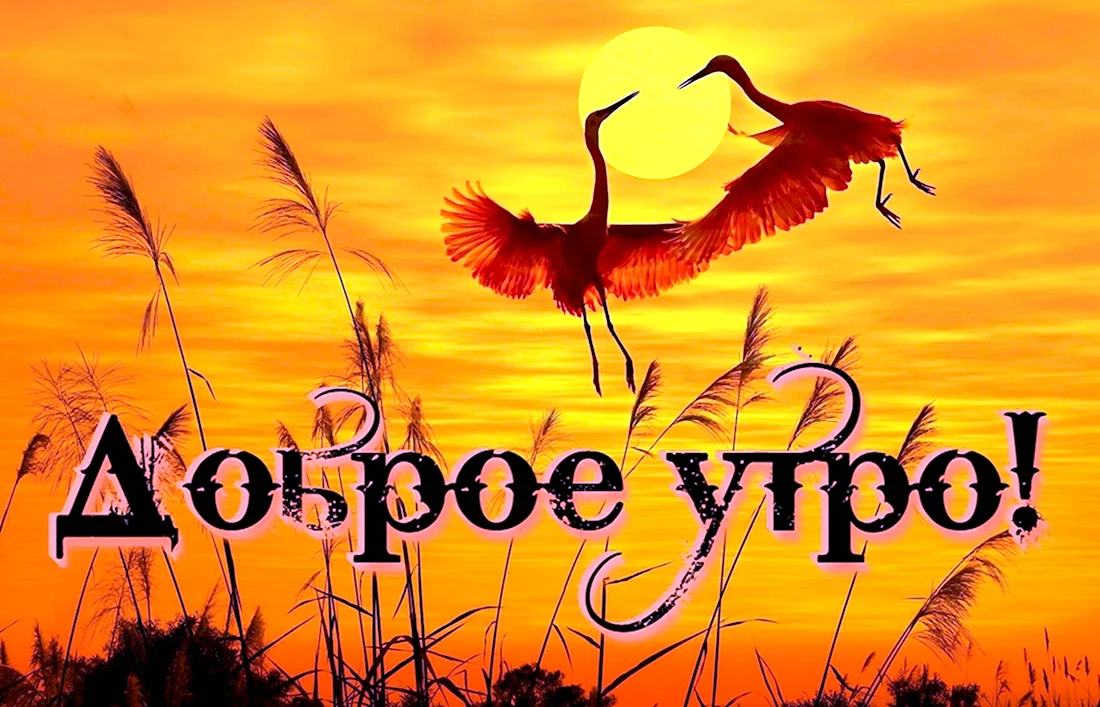 Доброе утро. ##утро#доброе#рассвет#восход#солнце#лучи#небо