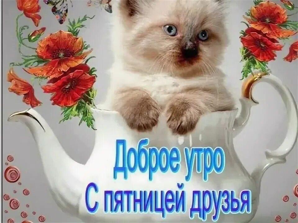 🌷Доброе утро! Сегодня 19 мая, пятница | ЧП 53 Великий