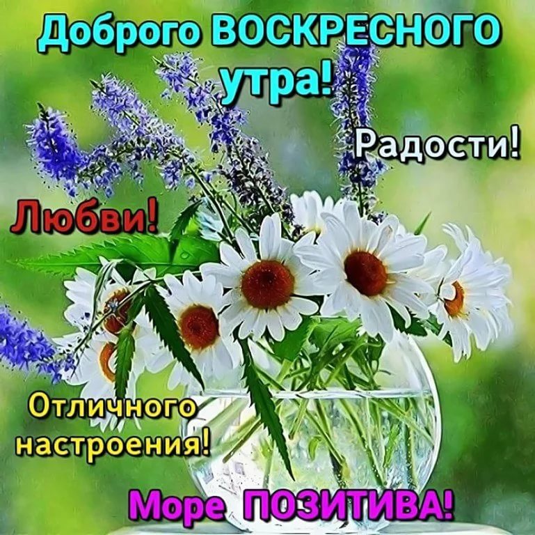 Чудесных выходных