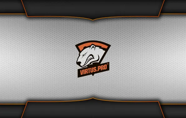 News | Virtus.pro