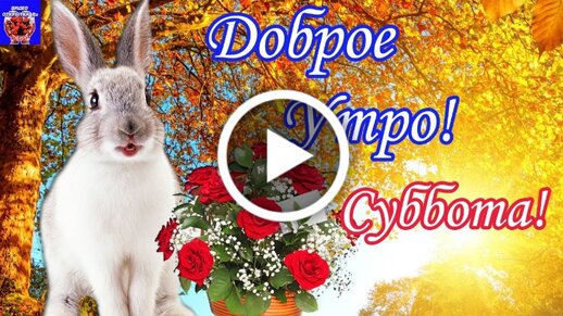 Доброго субботнего утра! Хороших выходных! Весеннего настроения!